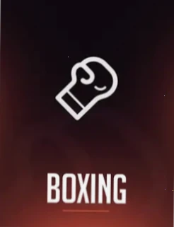 Rainbet Boxing Sportwetten Austria